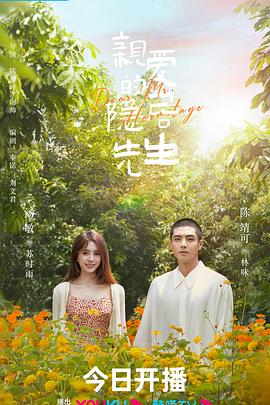 亲爱的隐居先生[电影解说]